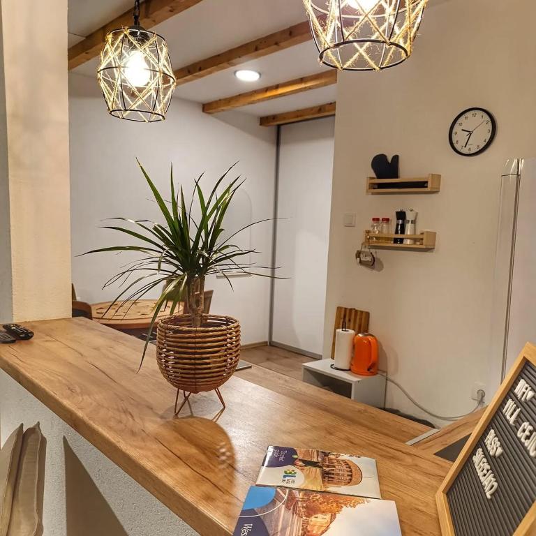Rivergreen - Apartman sa 1 Spavaćom Sobom - 12