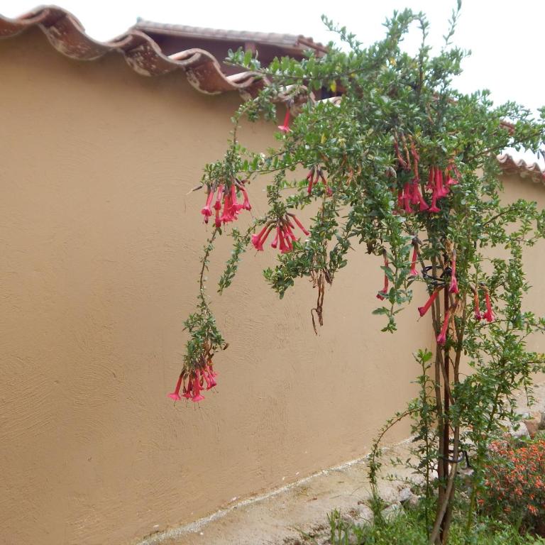 Casa Higospampa, 2 Floors Up to 7 Residents - Four-Bedroom House - 9