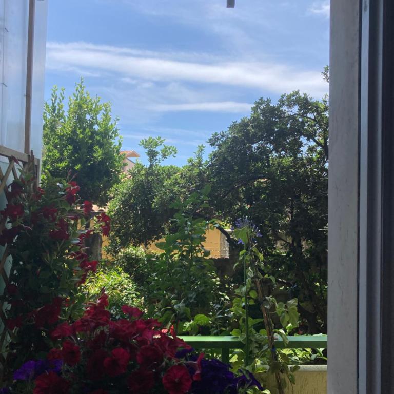Il giardino segreto - Appartamento con 1 Camera da Letto - 1