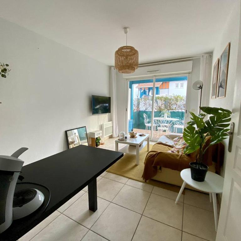 T1 bis confortable avec terrasse et parking à Cambo-les-Bains - Appartement 1 Chambre - 13