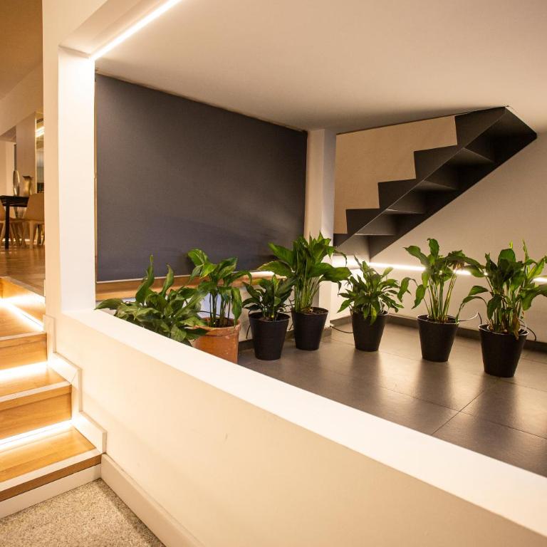 WISH SUITE Puerta Osario - Apartamento de 3 dormitorios - 37