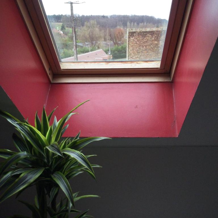 Le petit secret au pied du zoo - One-Bedroom House - 8