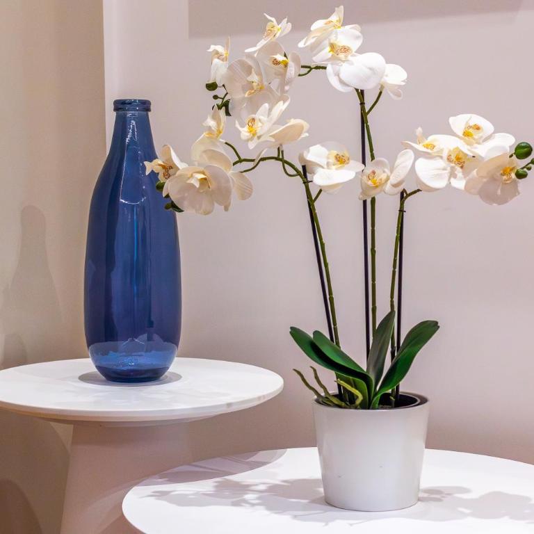iFlat Rome Dream, New Cozy & Chic Apartment - Apartment mit 2 Schlafzimmern - 28