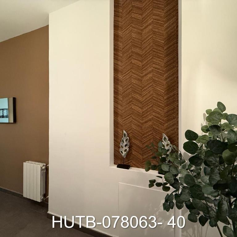 Palau de la música 3 - Two-Bedroom Apartment - 10