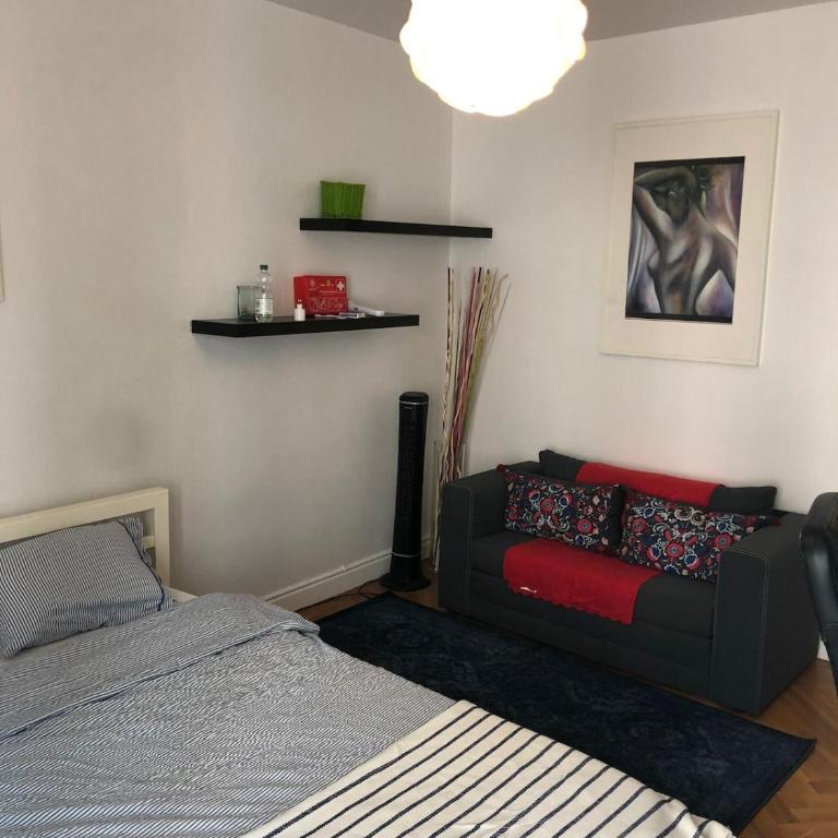 Amazing Studio in Geneva - Appartement 1 Chambre - 9