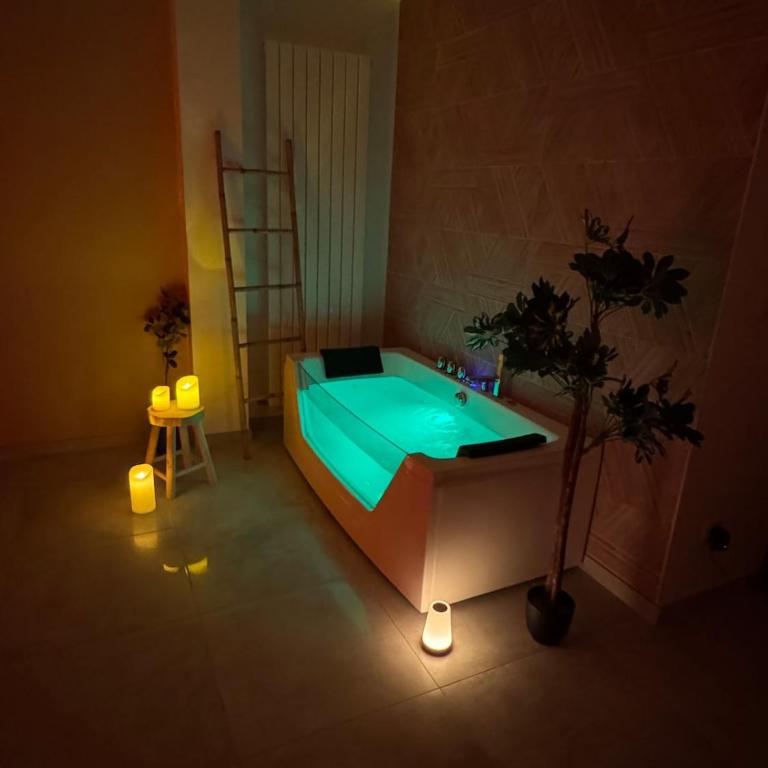 Cocon d'Anjou romantique avec Spa À deux pas des vagues - Apartamento de 1 dormitorio - 1