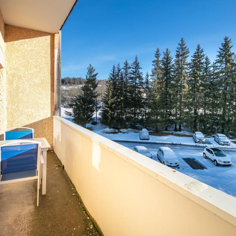 L'Olympique Cocoôning - Vue montagne parking privé - Appartement 1 Chambre - 4