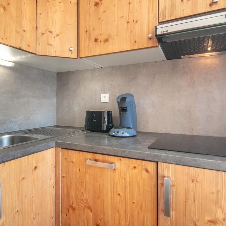 L'Olympique Cocoôning - Vue montagne parking privé - Appartement 1 Chambre - 5