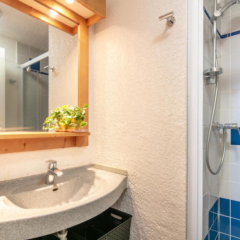 L'Olympique Cocoôning - Vue montagne parking privé - Appartement 1 Chambre - 7