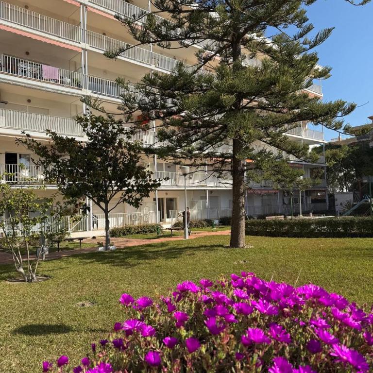 Apartamentos Hesperia Palmyra - Apartamento de 2 dormitorios (4-6 adultos) - 10