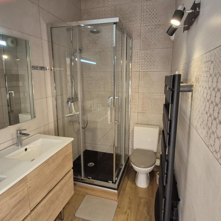 Les Vues de Lily - Châtel - Appartement 2 Chambres - 5