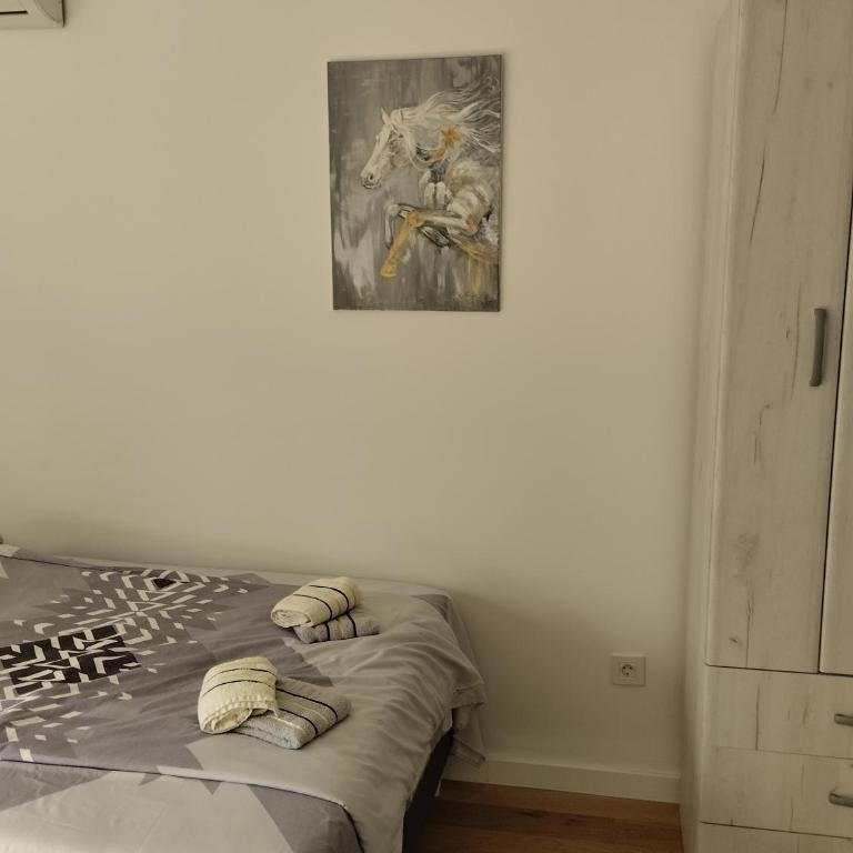 Studio TALIJA Balkan Square - Apartman sa 1 Spavaćom Sobom - 3