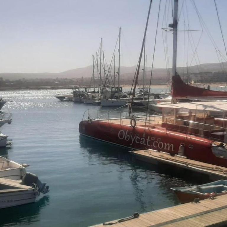 Caleta de Fuste Apartment- Sleeps4- Pool- Garden - Apartment - 10