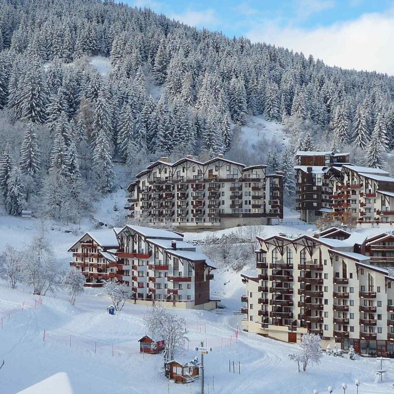 Duplex lumineux skis aux pieds pour 9 pers, animaux admis - Three-Bedroom Apartment - 5