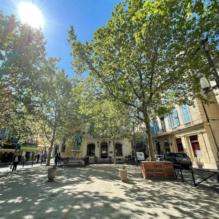Luxury Town House Centre Arles - Appartamento con 3 Camere da Letto - 58