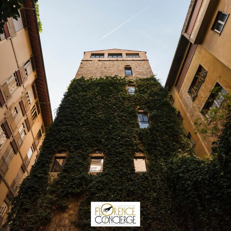 2 Towers Belfredelli&Ramaglianti- Panoramic view - Appartamento Deluxe - 4