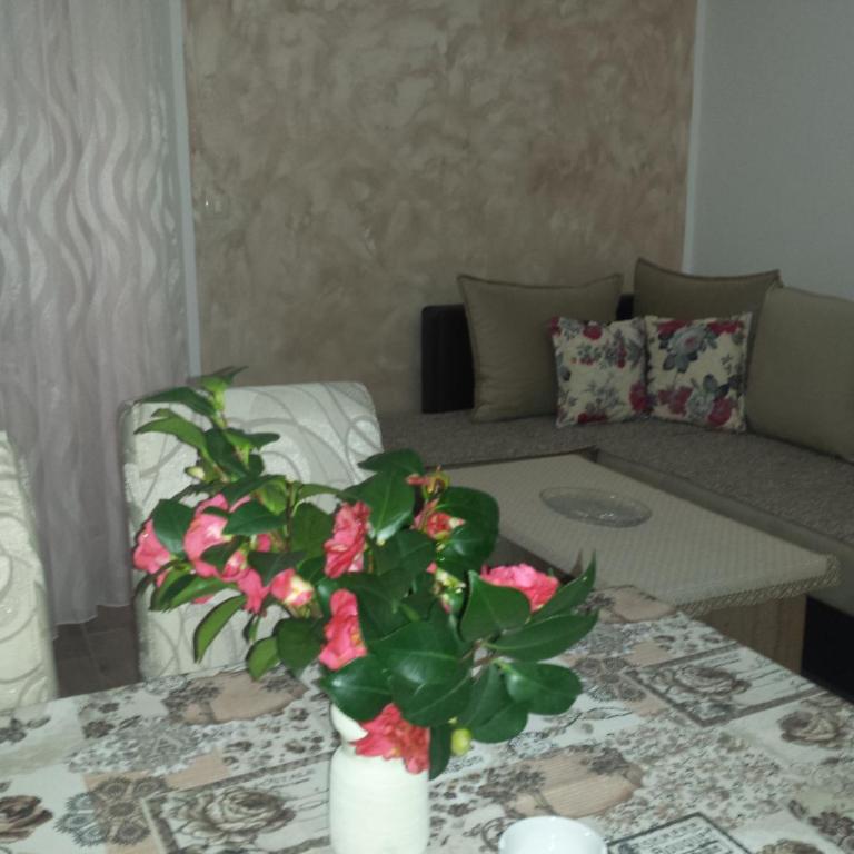 Apartment Dragan - Apartman sa Pogledom na More - 23