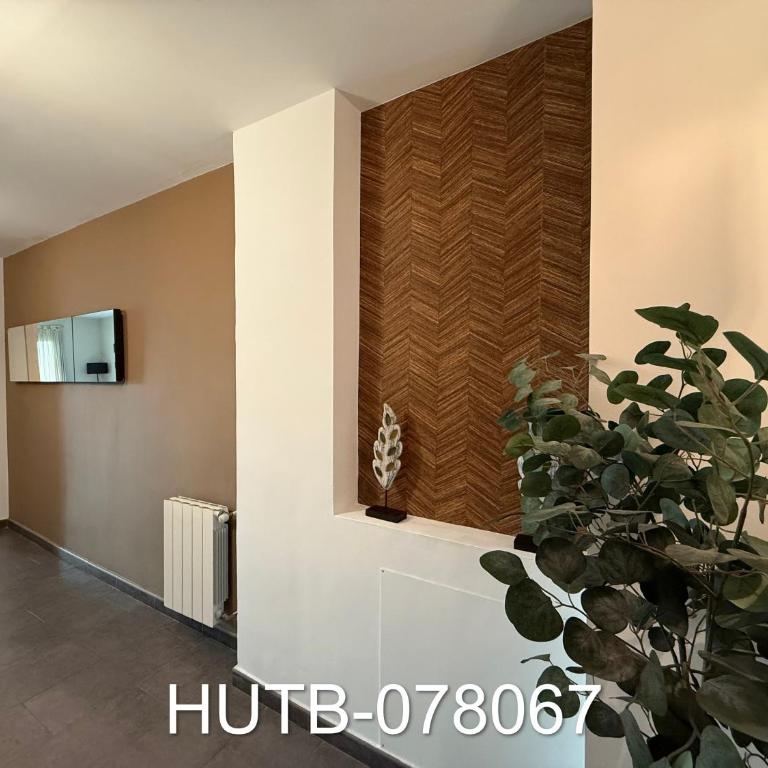Palau de la música 7 - Two-Bedroom Apartment - 12
