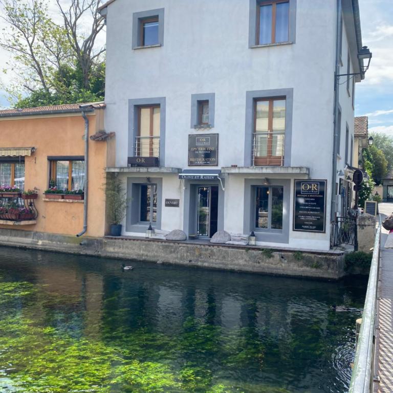 Olive- Vaste appartement donnant sur la Sorgue - Apartment - 12