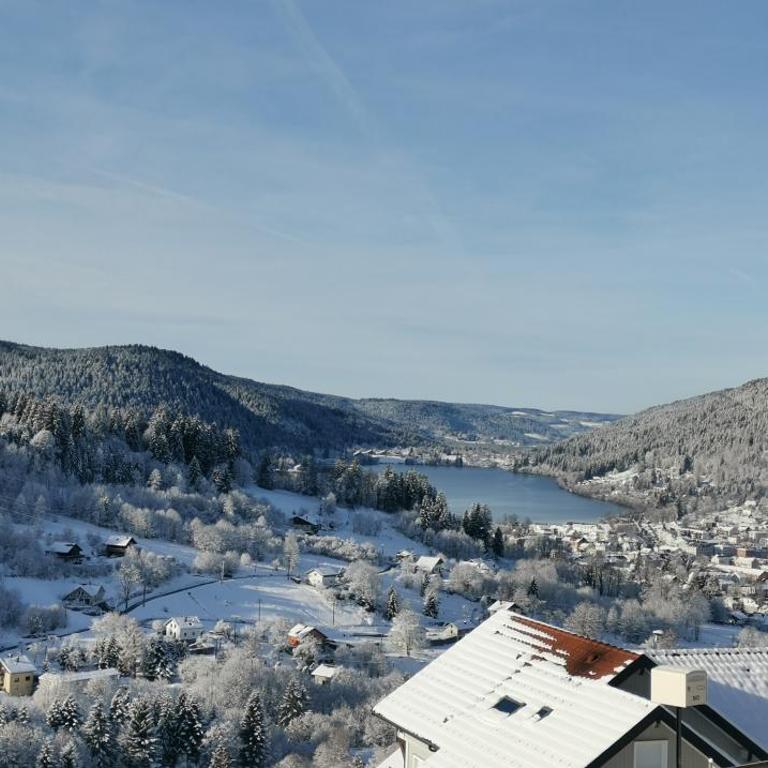 Evasion Gérardmer - Appartement 1 Chambre - 19