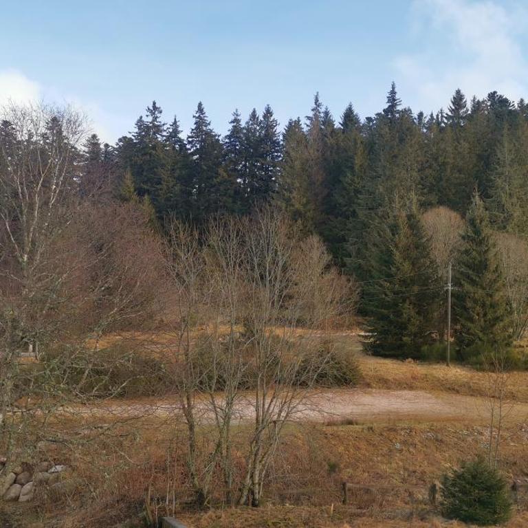 Evasion Gérardmer - Appartement 1 Chambre - 23