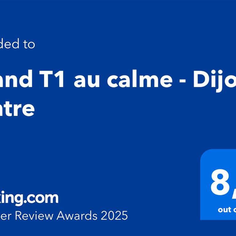 Grand T1 au calme - Dijon centre - Appartement - 11