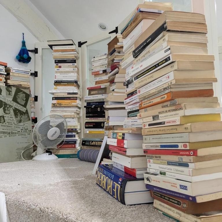 T2 Au pied du château sans vis à vis - Appartement 2 Chambres - 21