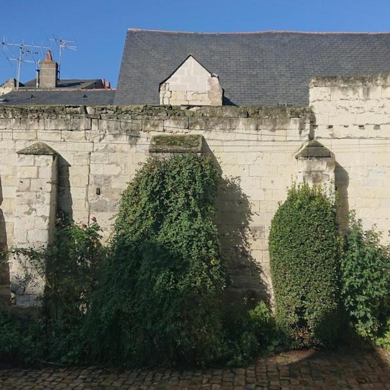 T2 Au pied du château sans vis à vis - Appartement 2 Chambres - 35