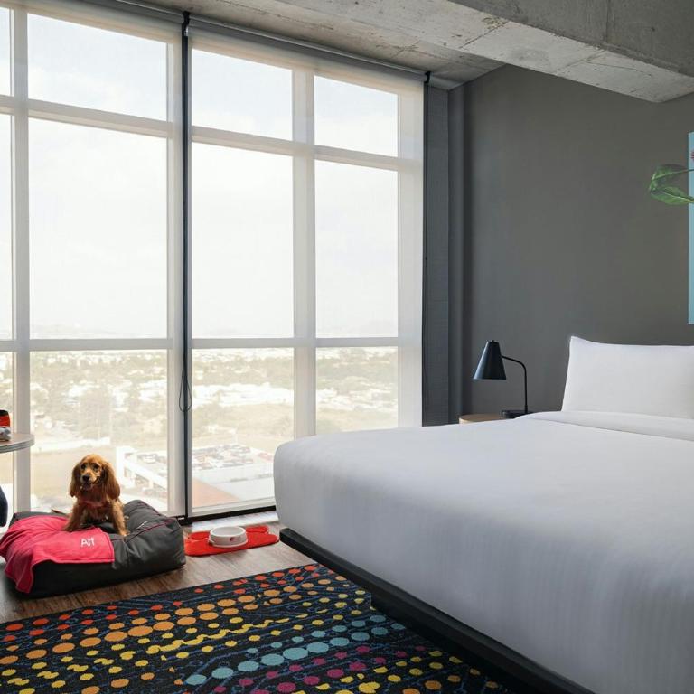 Aloft by Marriott Guadalajara Sur - Suite Savvy - Cama extragrande - 2