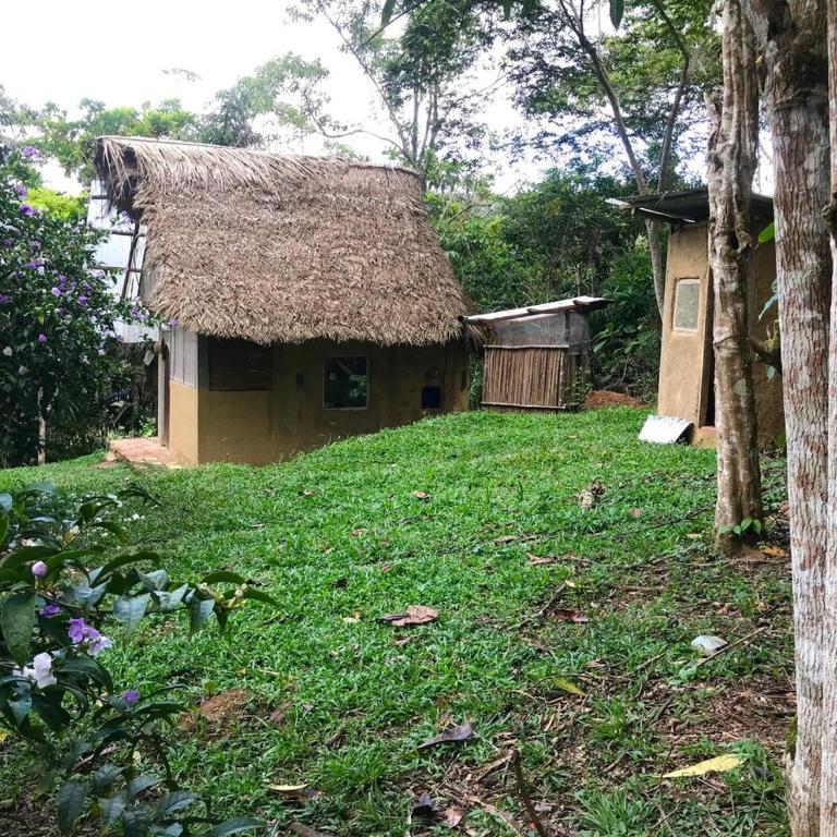 Sweet little cabin in ecological artist community - Casa de 2 dormitorios - 3