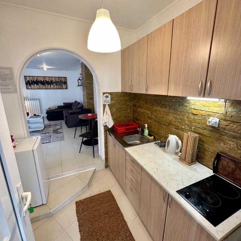 Micic Apartment 1 Divcibare - One-Bedroom Apartment - 3