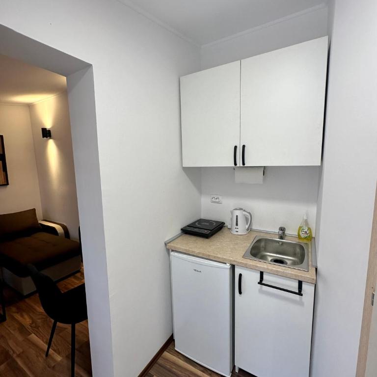 Micic Apartment 2 Divcibare - Apartman sa 1 Spavaćom Sobom - 8