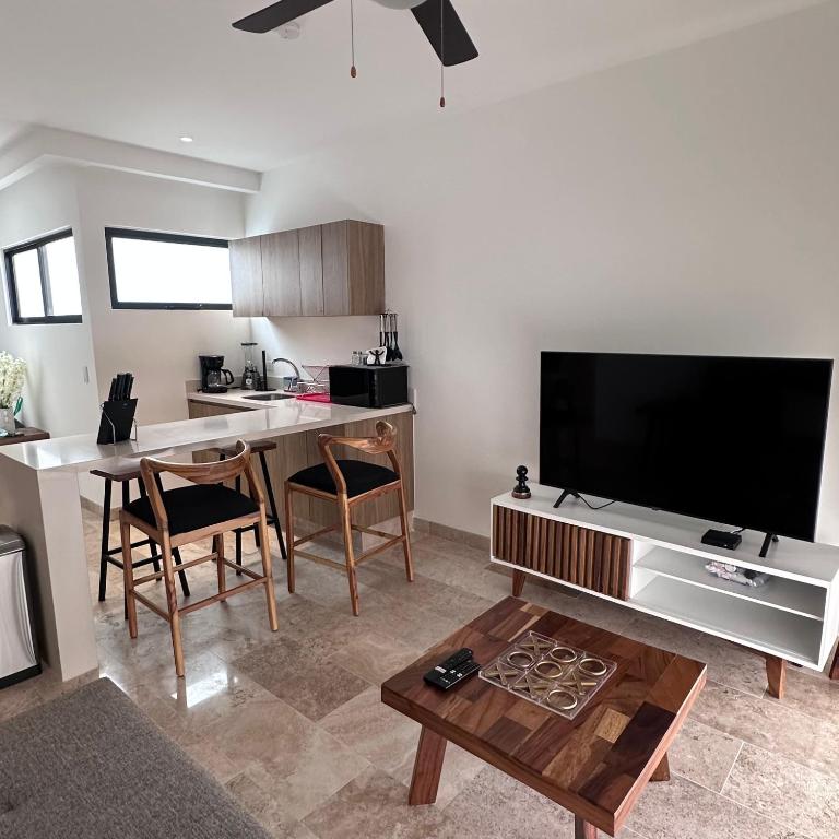 Lujo y Comodidad Con Estilo PH IPANA - Apartamento de 1 dormitorio - 1