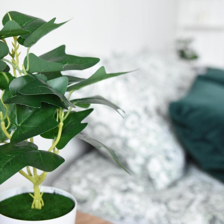 Sunny Comfort Residence - Apartman sa 1 Spavaćom Sobom - 7