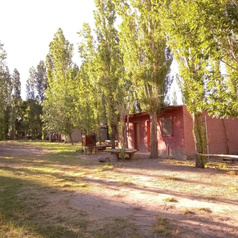 Cabañas Zorzal Rodeo - Casa con 1 dormitorio - 3