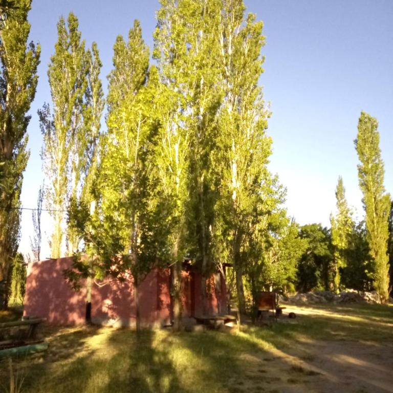 Cabañas Zorzal Rodeo - Casa con 1 dormitorio - 6