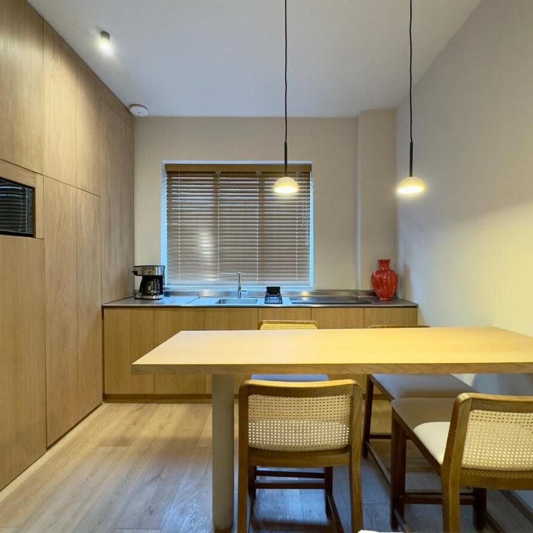NEW Beautiful loft - KS bed- Air Conditioner - One-Bedroom Apartment - 3