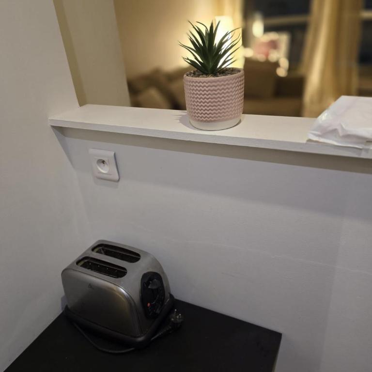 Cosy Studio Close Eiffel Tower - Appartement 1 Chambre - 30
