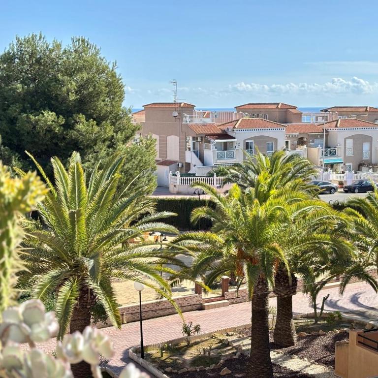 Apartament Playa La Mata - Apartamento de 2 dormitorios - 30