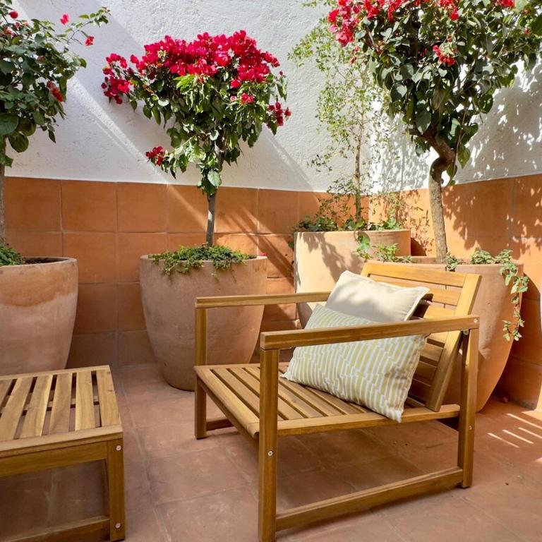 Casa Pilar - Superior Double - One-Bedroom Apartment - 11