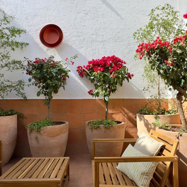 Casa Pilar - The Loft - One-Bedroom Apartment - 6