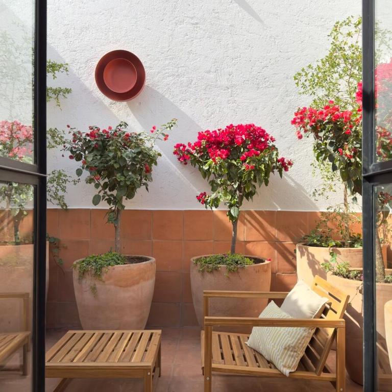 Casa Pilar - The Loft - One-Bedroom Apartment - 8