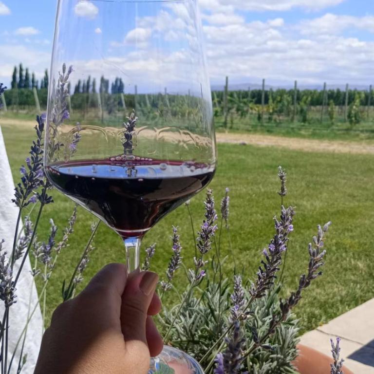 Casa Cortaderas - Two-Bedroom Townhouse - 21