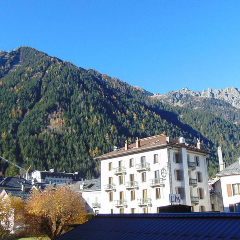 Studio convivial en zone piétonne avec animaux admis, balcon - Chamonix - FR-1-517-23 - Studio - 9