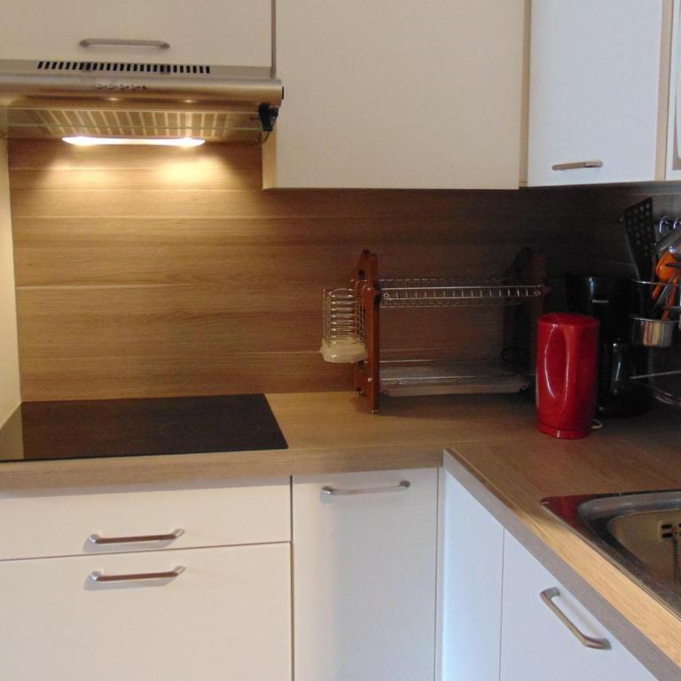 Studio convivial en zone piétonne avec animaux admis, balcon - Chamonix - FR-1-517-23 - Studio - 12