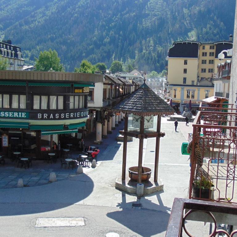 Studio convivial en zone piétonne avec animaux admis, balcon - Chamonix - FR-1-517-23 - Studio - 14