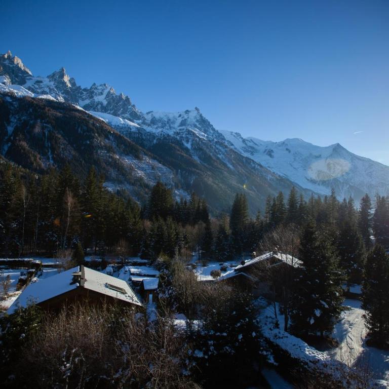 Studio Charmant avec Vue Mont Blanc, Parking et Animaux Admis - FR-1-517-35 - Studio - 12