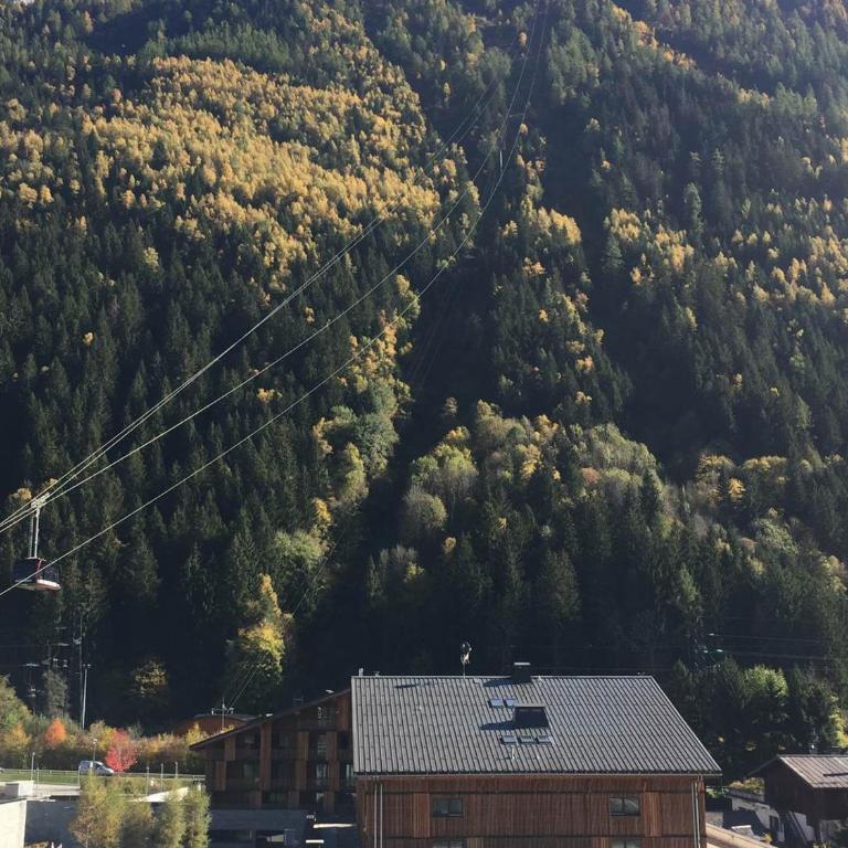 2 Pièces Sud-Est Chamonix, Parking & Animaux admis - FR-1-517-54 - Appartement (3 Adultes) - 12