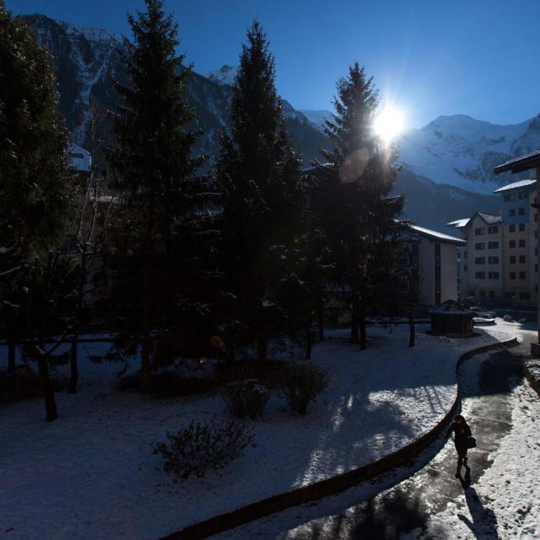 Studio Chamonix 20m², 4 pers, balcon, parking - FR-1-517-40 - Studio - 8