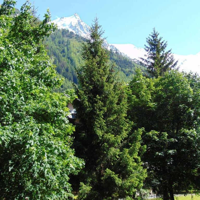 Studio Chamonix 20m², 4 pers, balcon, parking - FR-1-517-40 - Studio - 11